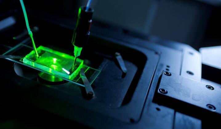 Microfluidic in vitro synthetic biology platform