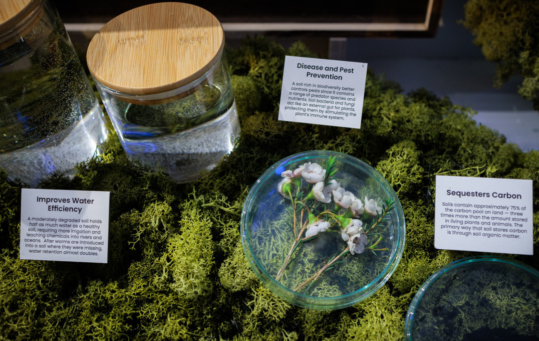 Exhibit at the IDE/GID show - flowers in petri dishes and contains on a moss base