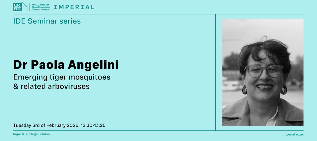 IDE Seminar Dr Paola Angelini