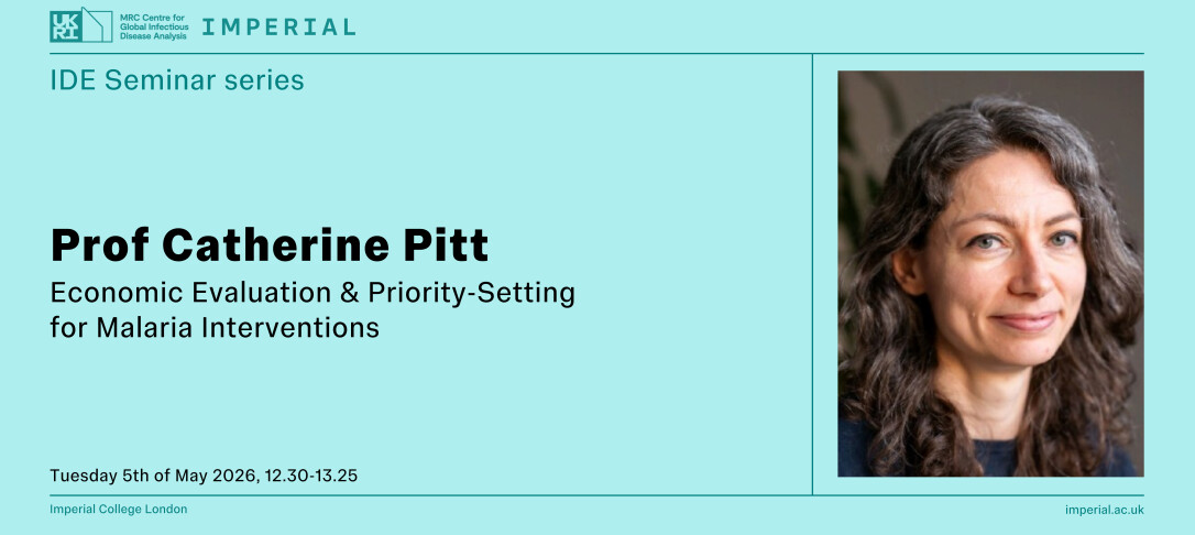 IDE Seminar Prof Catherine Pitt