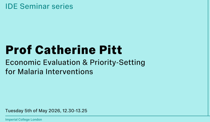 IDE Seminar Series – Prof Catherine Pitt