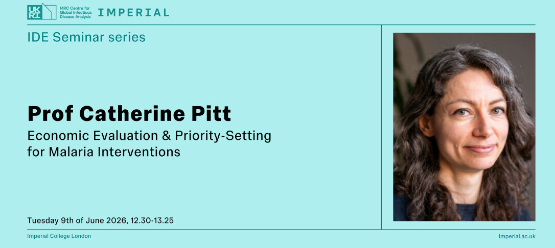 IDE Seminar Prof Catherine Pitt