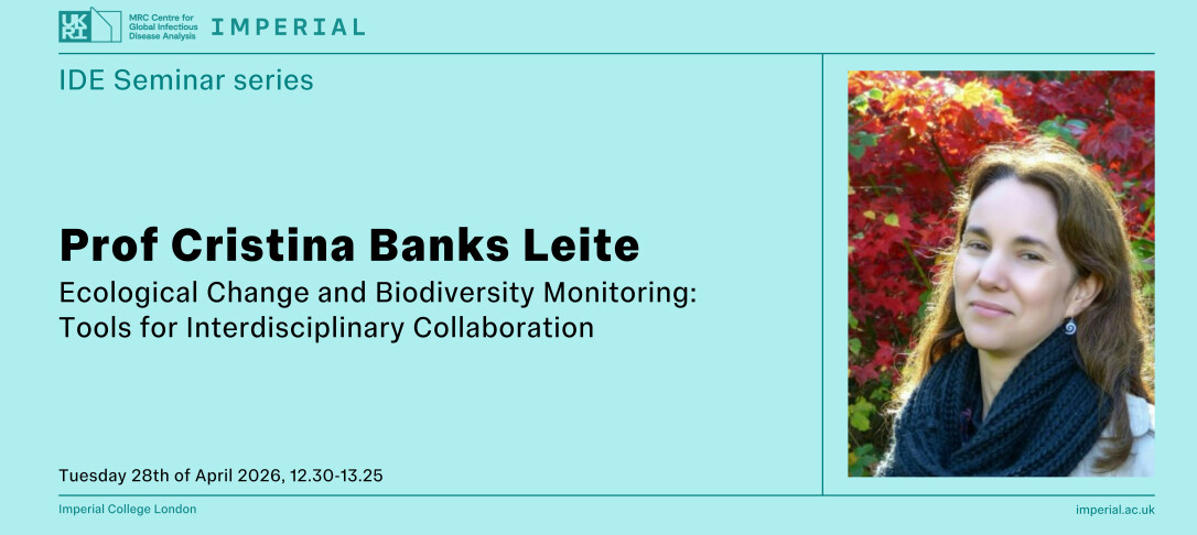 IDE Seminar Prof Cristina Banks Leite