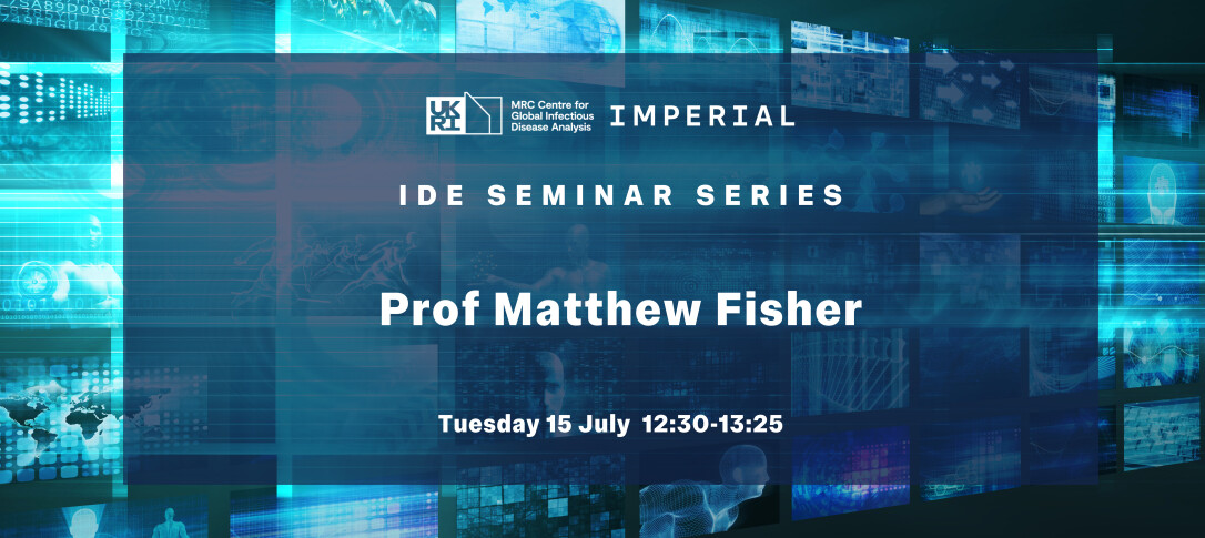 IDE Seminar Prof Matthew Fisher