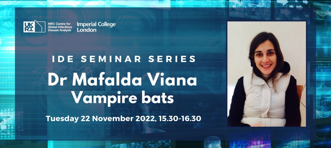 IDE Seminar Dr Mafalda Viana