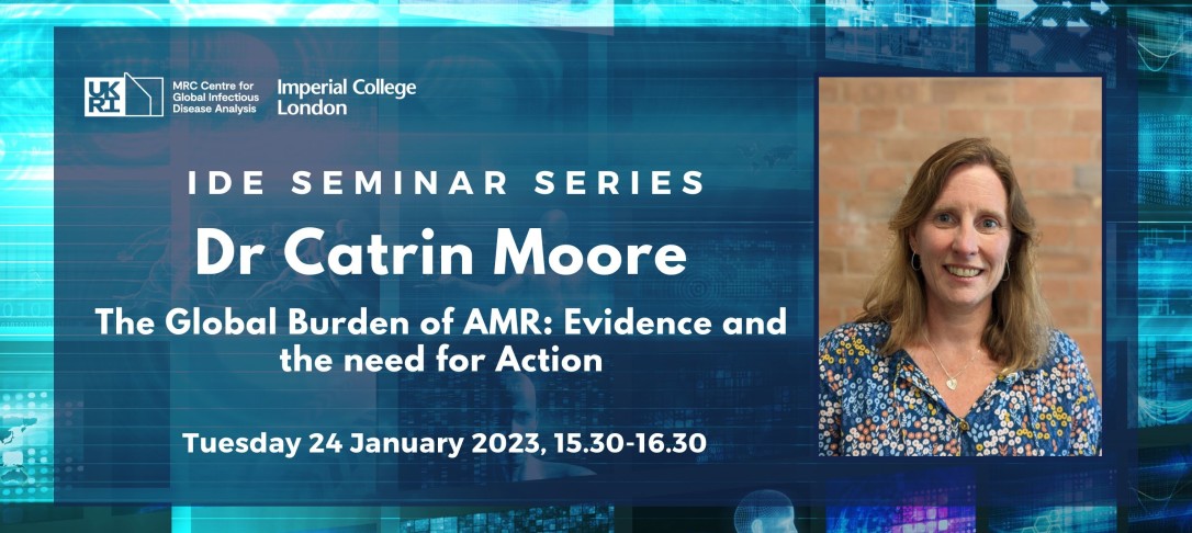 IDE Seminar Dr Catrin Moore