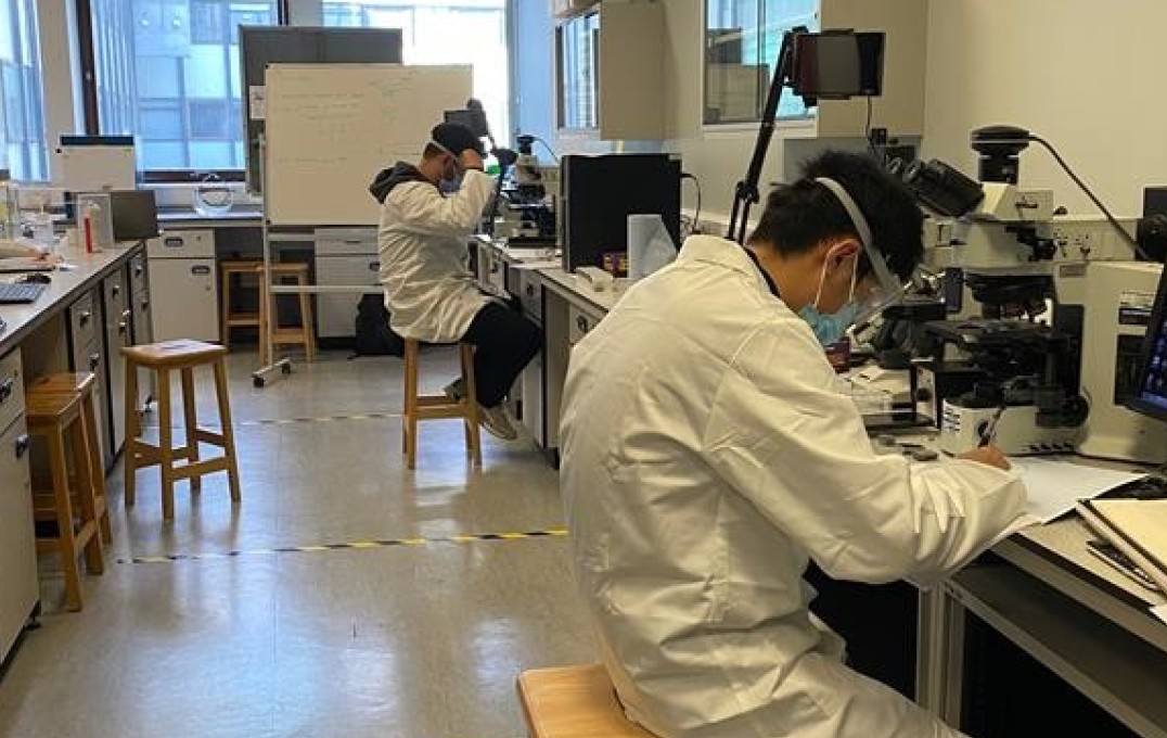 Students using optical microscopes in the lab.