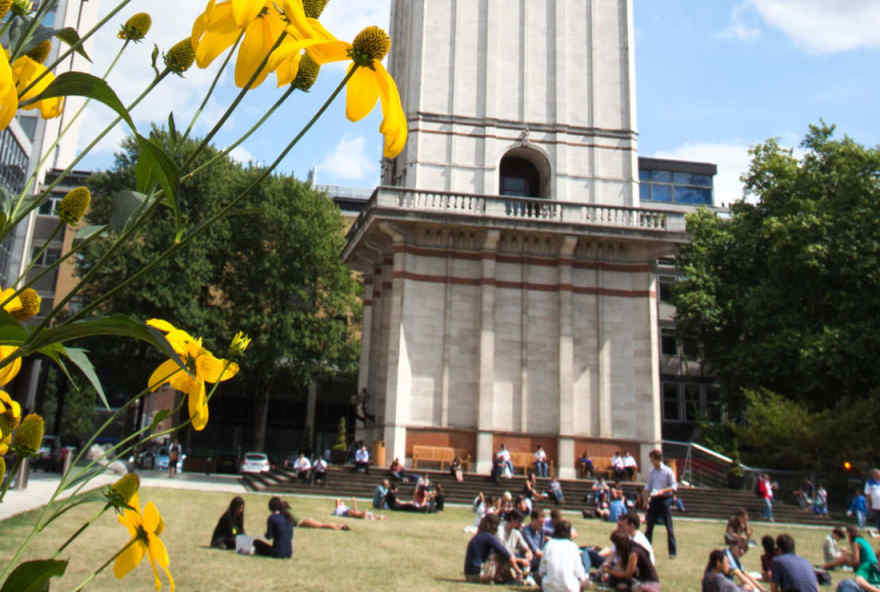 Rob Cromwell | Alumni | Imperial College London