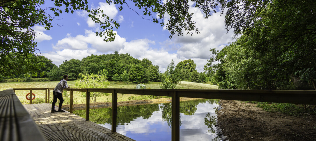 Silwood Park campus, man looking over lake with lush green plants and trees surrounding