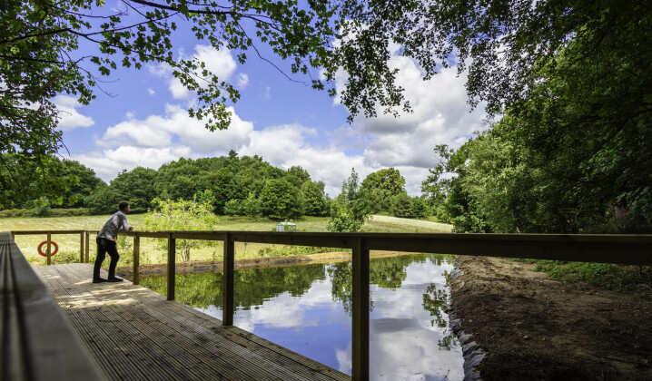 Silwood Park campus, man looking over lake with lush green plants and trees surrounding