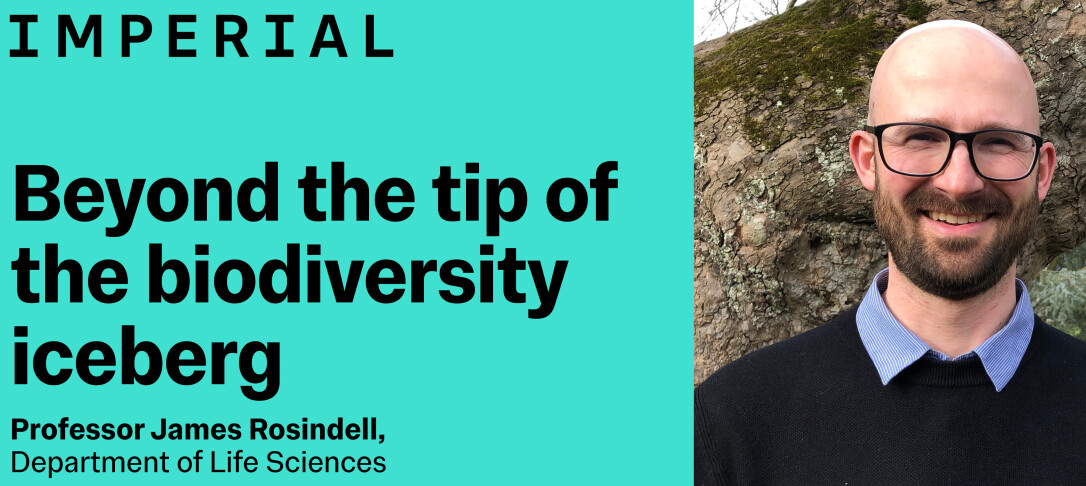 Beyond the tip of the biodiversity iceberg