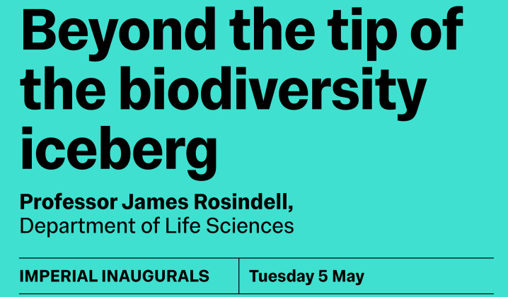 Beyond the tip of the biodiversity iceberg