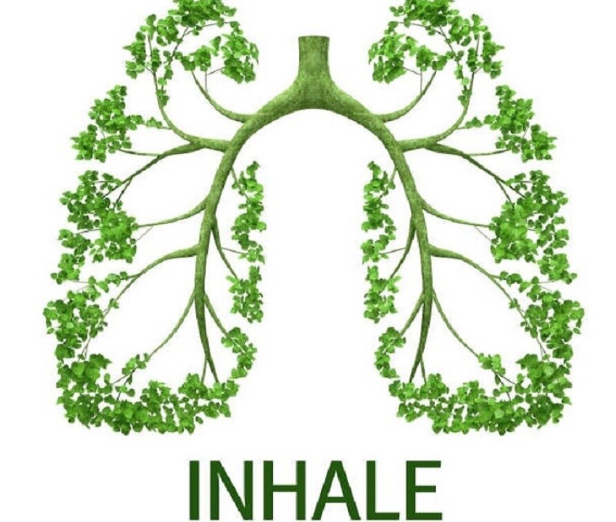 Inhale webinar