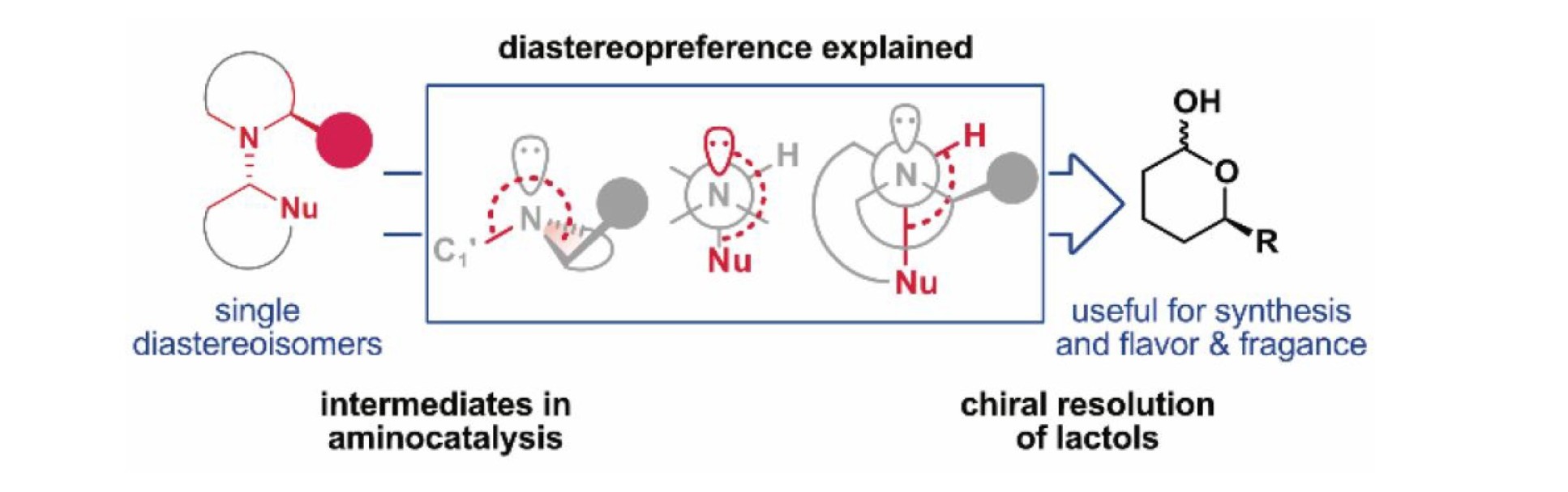 Graphical Abstract