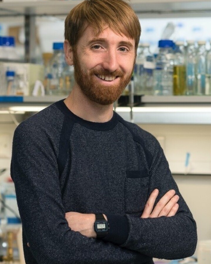 Prof John Briggs