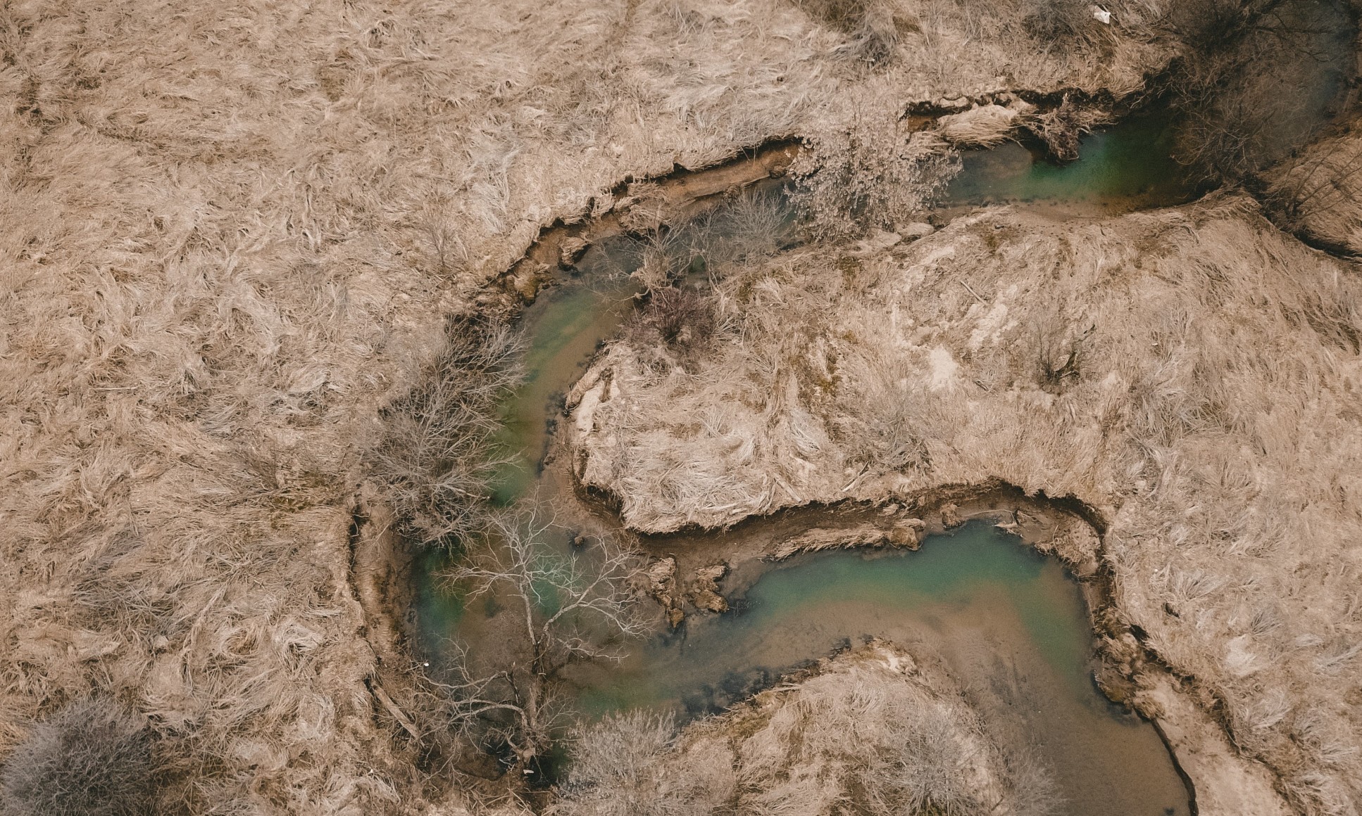Aerial image of winding river surrounded by brown, arid grass and dying trees.