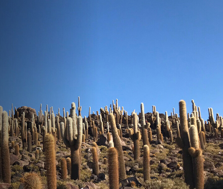 Latin America STEM Network Launch and Reception