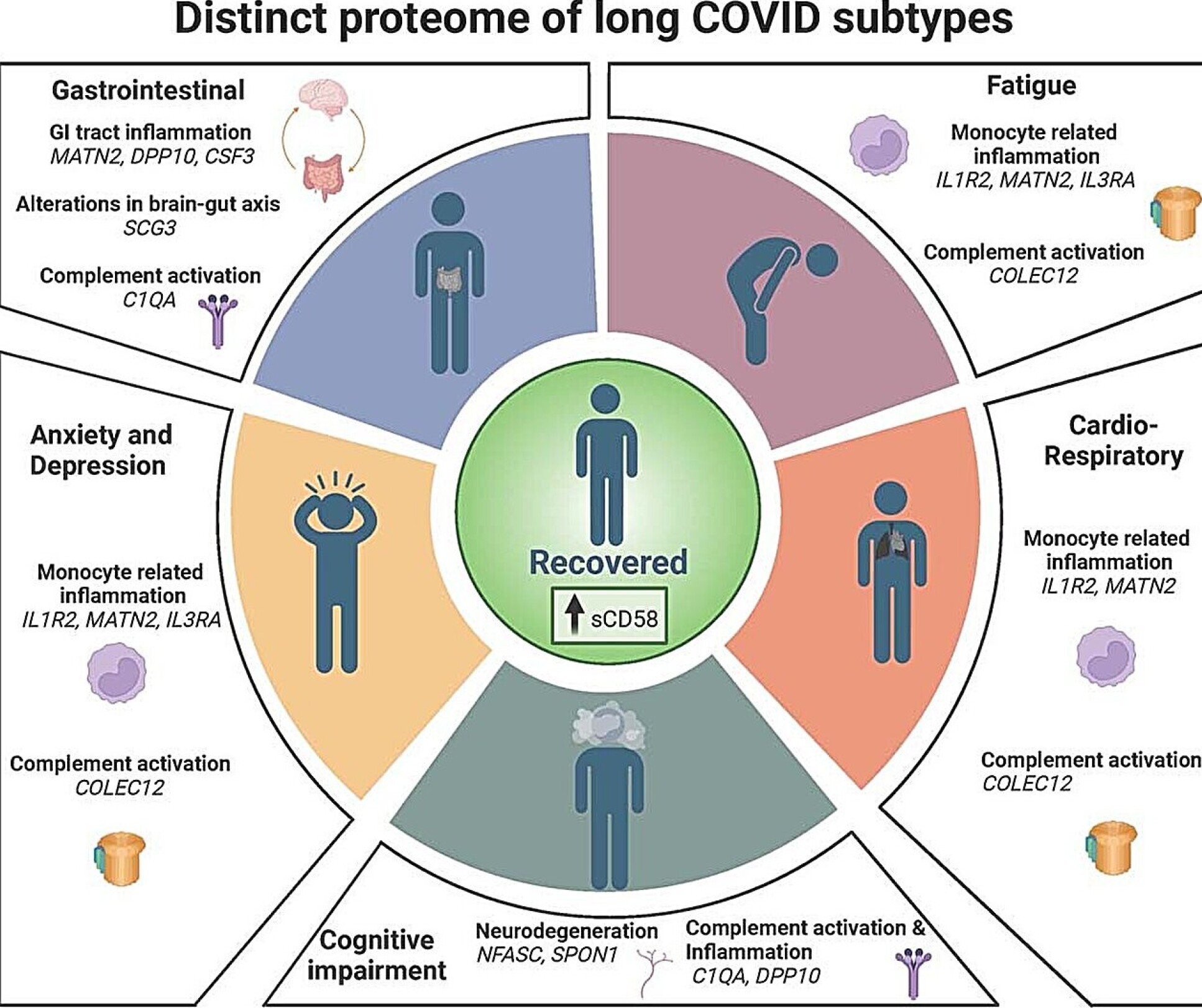 Subtypes of Long COVID