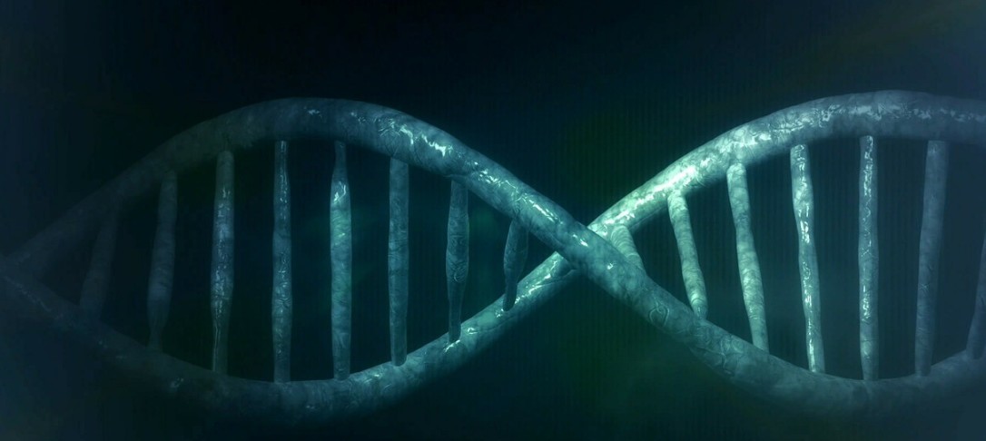 DNA illustration