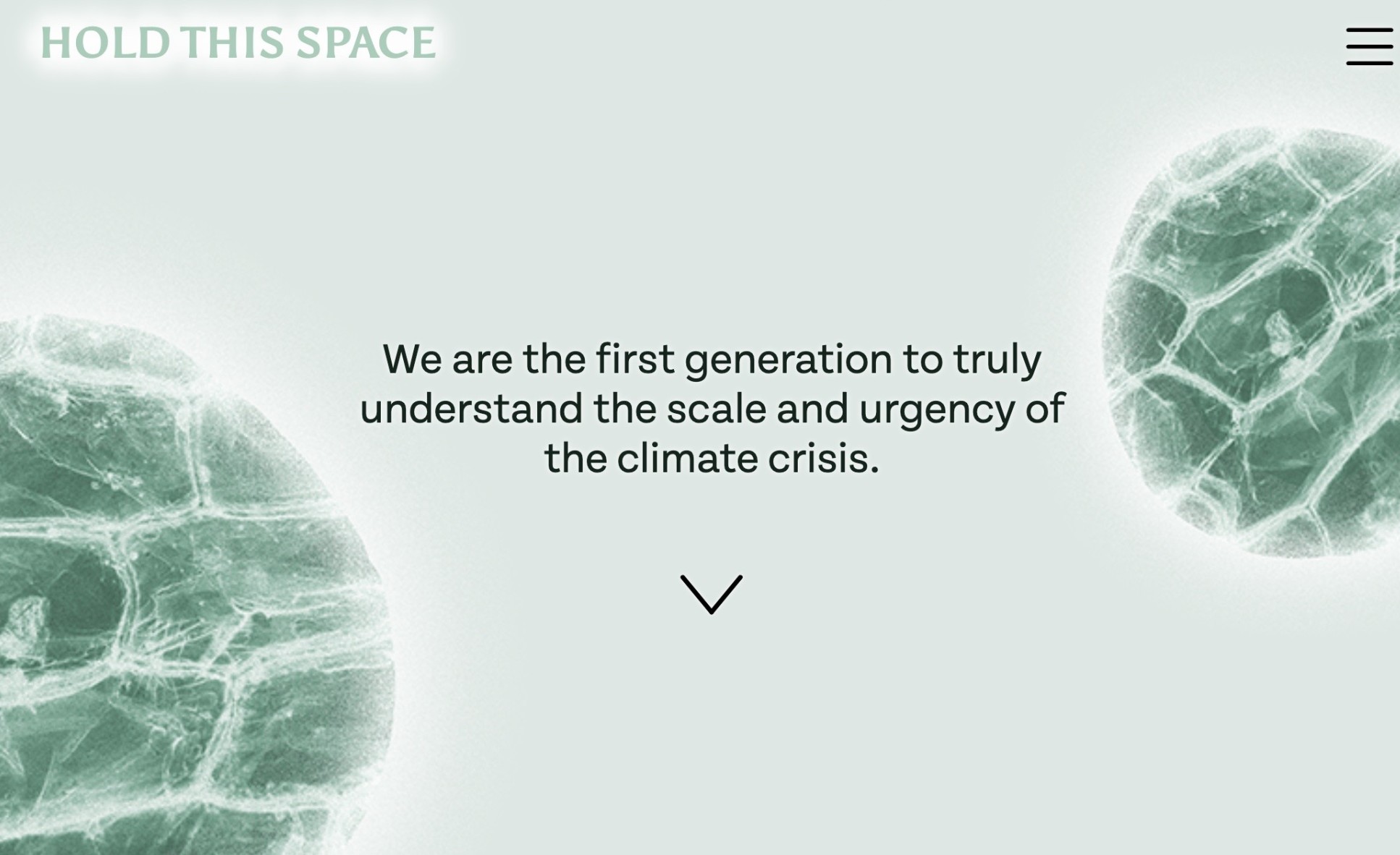 A screenshot from the Hold This Space website