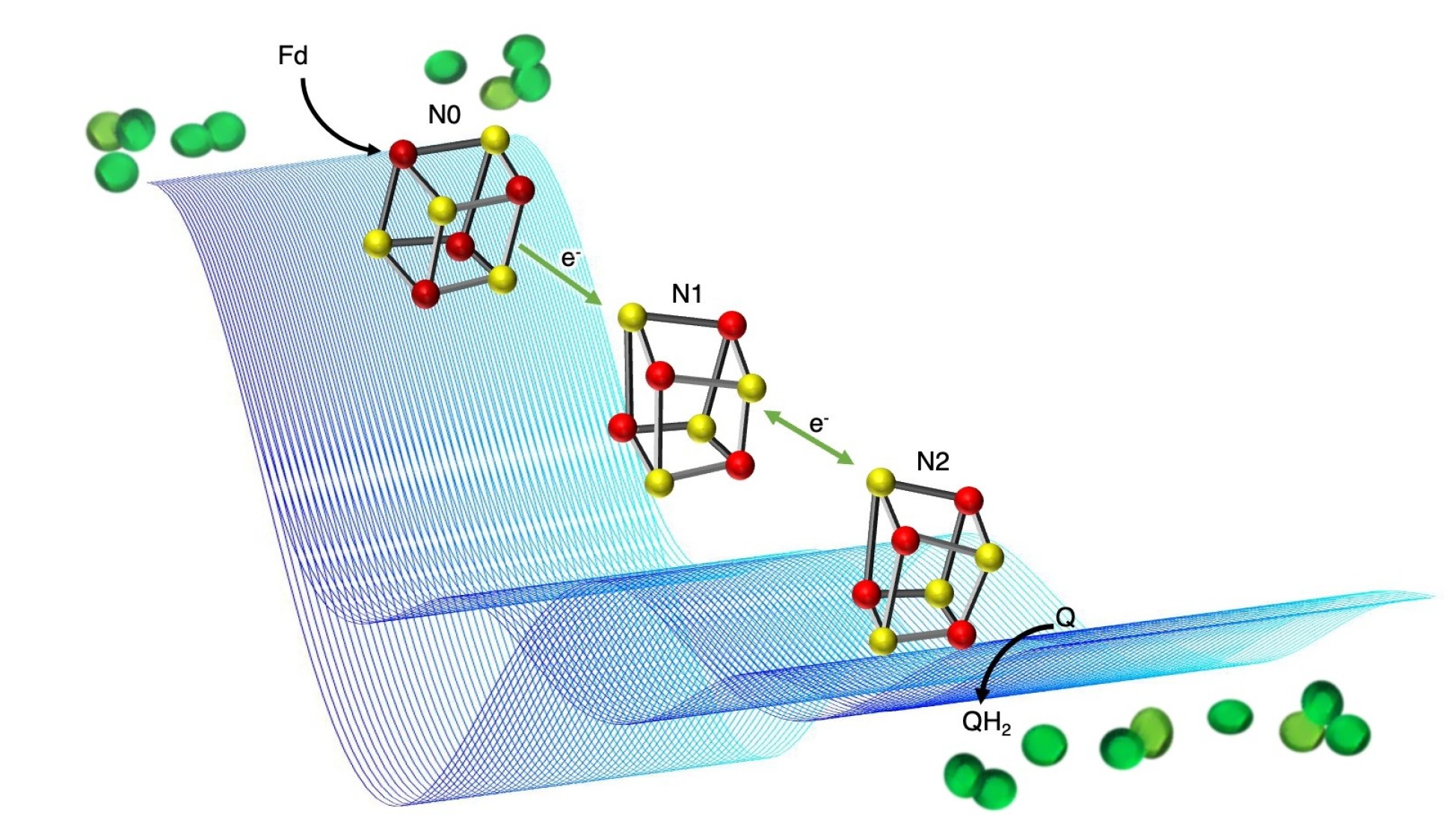 Illustration of electrons moving along a chain of molecules