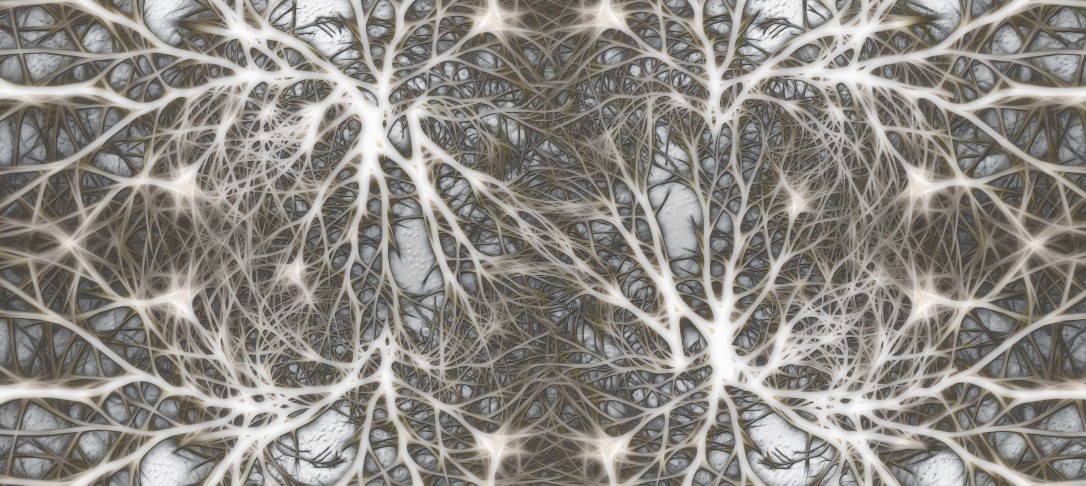 picture of neurons