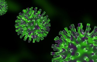 An illustration of coronavirus