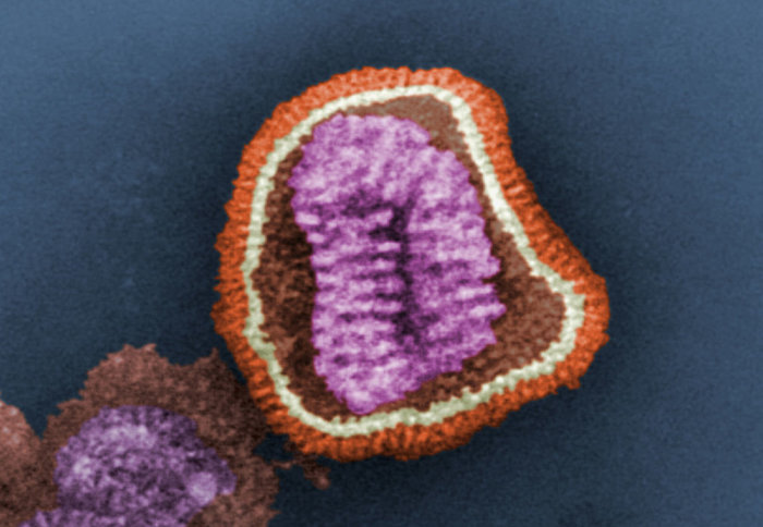 Flu virus