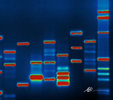 What is Mendelian Randomization?