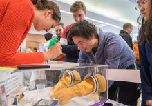 A visitor gets hands on with a science exhibit