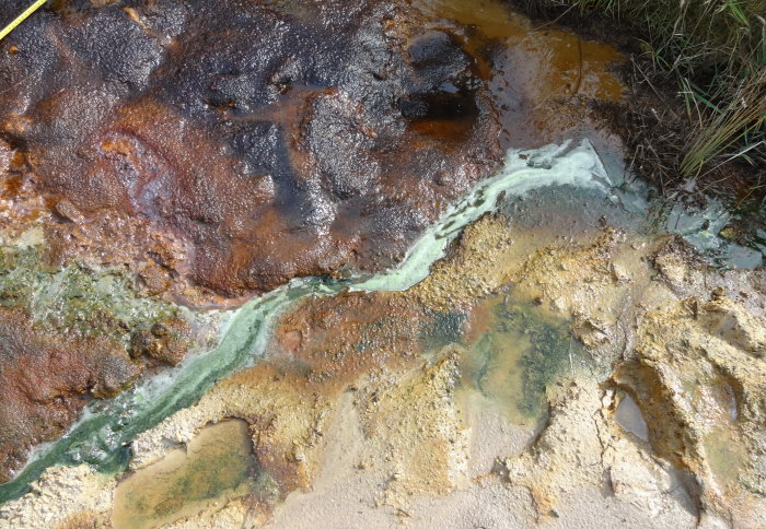 Photograph of acid stream in St Oswald's Bay, Dorset.
