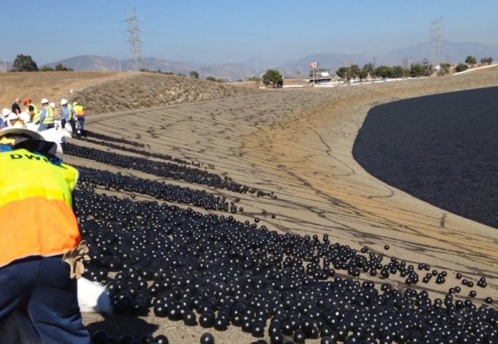 Team of people releasing black plastic balls into a reservoir