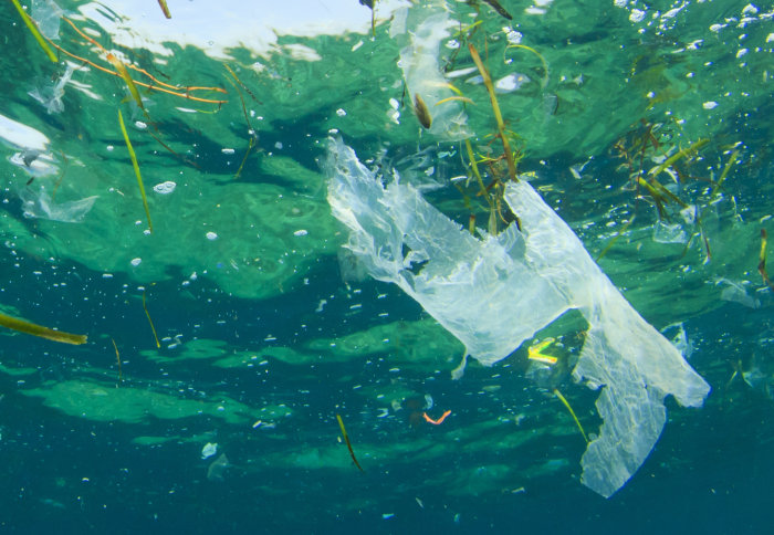 Raggedy piece of plastic film floats in the ocean