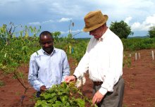 How to feed the world’s population sustainably