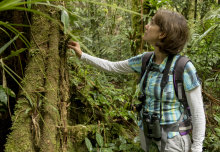 Scientist bringing Brazil’s biodiversity back from the brink up for impact award