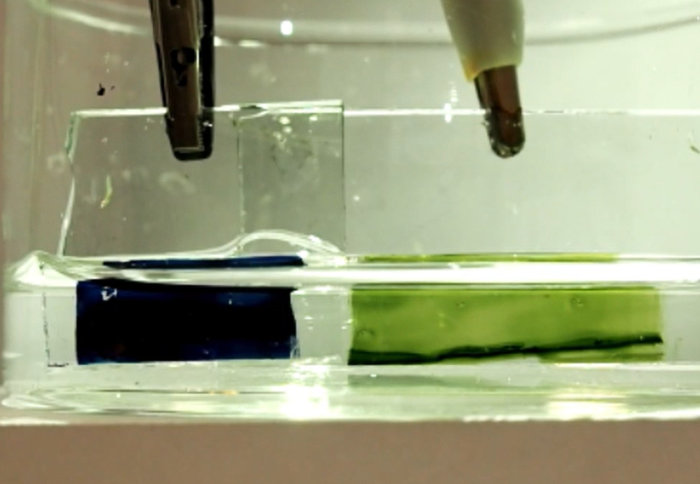 A blue liquid and a green liquid separated by clear water