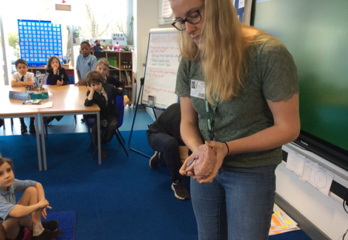 Isabell Whiteley demonstrating brain function to school students