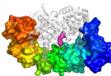 Chemical probes pave the way for a better understanding of disease development