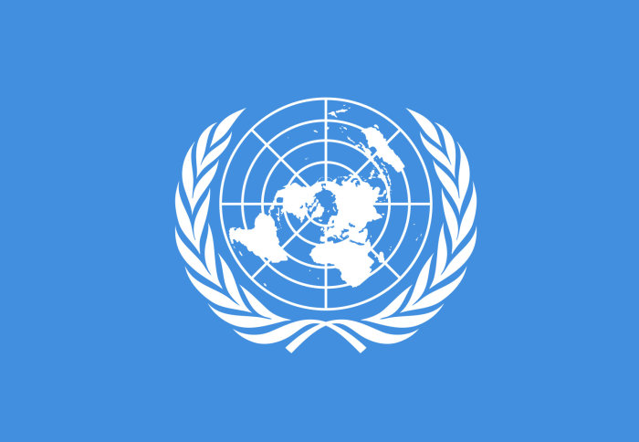 United nations flag