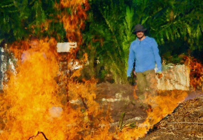 Prof Guillermo Rein surveys a wildfire