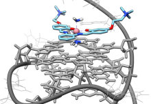 New class of molecules explored as binders for knot-like DNA