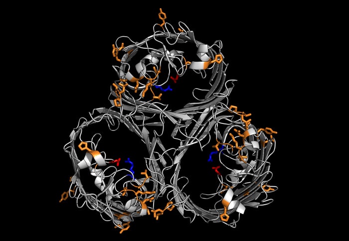 A three-ringed structure