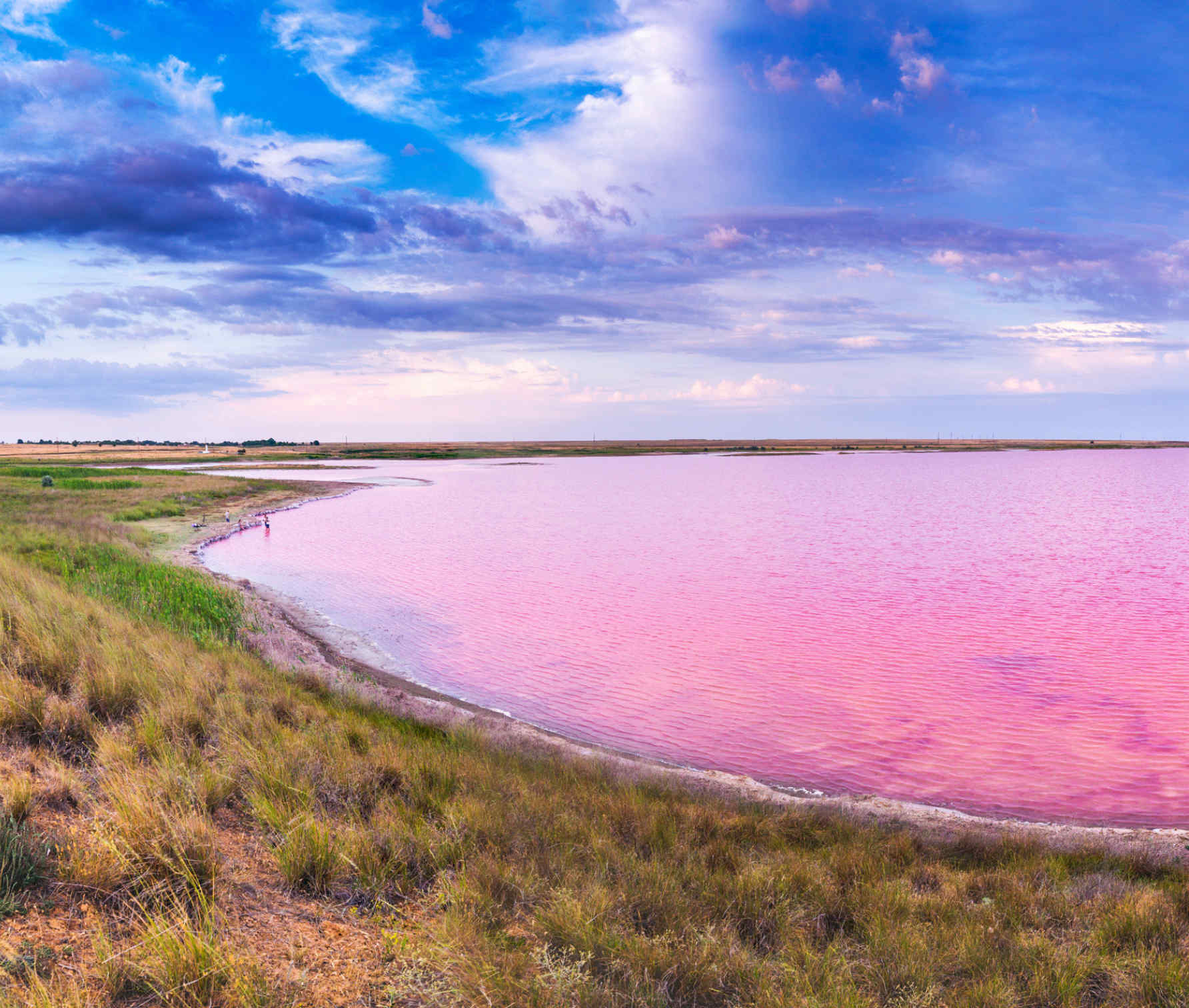 Розовый водоем в крыму. Кояшское озеро Керчь. Мыс Опук розовое озеро. Кояшское озеро в Крыму мыс Опук. Тобечикское озеро Керчь.