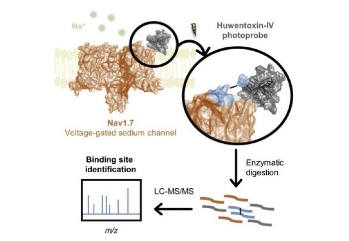 A chemical proteomic workflow