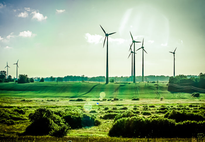 Wind turbines in a green field