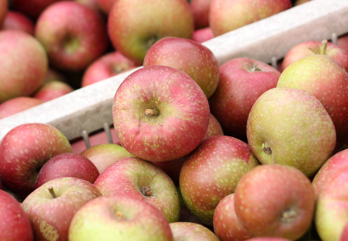 How do you like them apples? Picture of a crate of apples