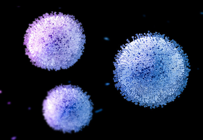 Coronavirus particle