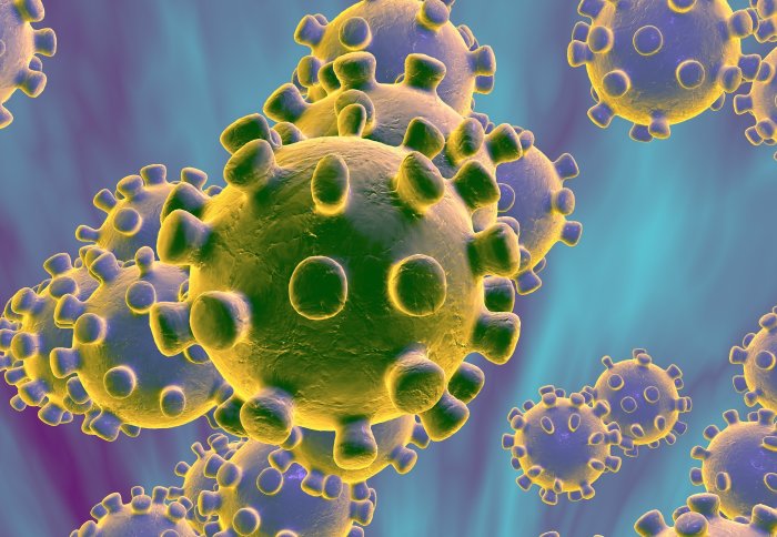 Visualisation of a coronavirus