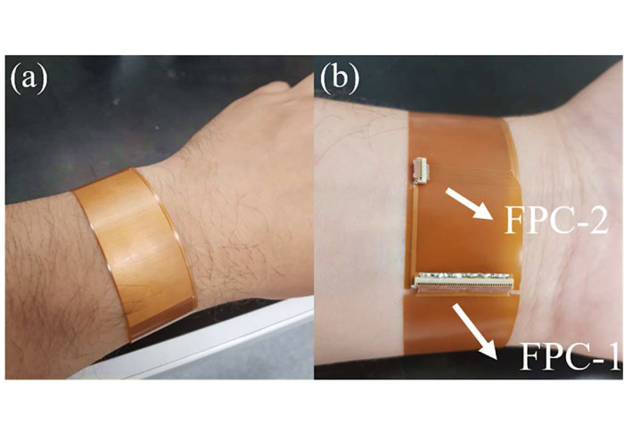 A Flexible Wrist-Worn Thermotherapy and Thermoregul ation Device