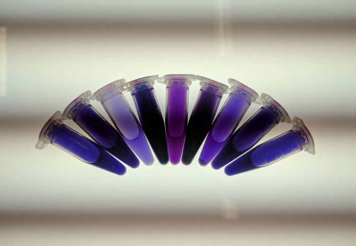 Vials of varying shades of purple liquids